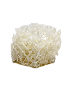 OraGraft Cancellous Cube